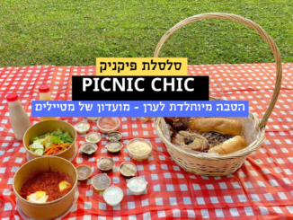 PICNIC CHIC