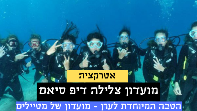 צלילות באילת